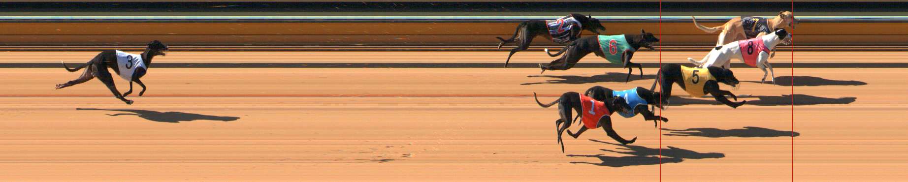 Race result finish photo